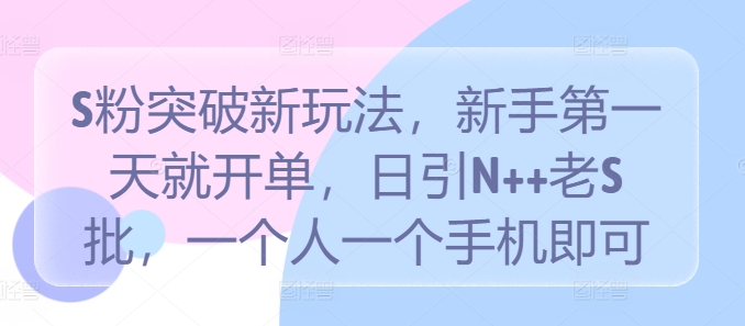 S粉突破新玩法，新手第一天就开单，日引N++老S批，一个人一个手机即可【揭秘】-小伟资源网