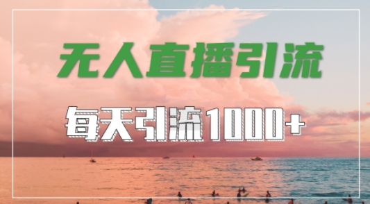 抖音快手视频号全平台通用，无人直播引流法，超暴力引流1000+高质量精准创业粉【揭秘】-小伟资源网