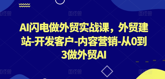 AI闪电做外贸实战课，​外贸建站-开发客户-内容营销-从0到3做外贸AI（更新）-小伟资源网