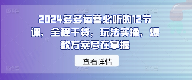 2024多多运营必听的12节课，全程干货，玩法实操，爆款方案尽在掌握-小伟资源网