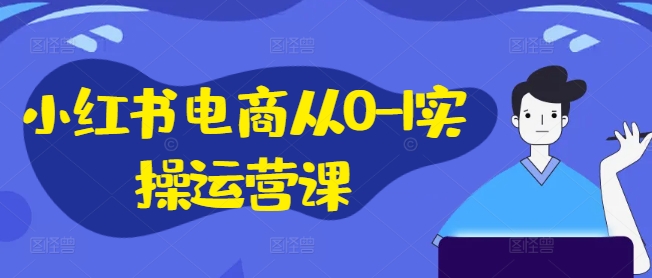 小红书电商从0-1实操运营课，小红书手机实操小红书/IP和私域课/小红书电商电脑实操板块等-小伟资源网