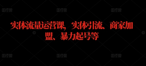 实体流量运营课，实体引流、商家加盟、暴力起号等-小伟资源网