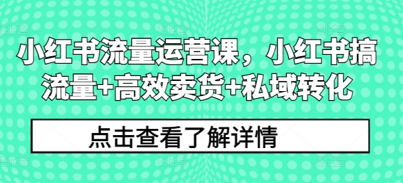 小红书流量运营课，小红书搞流量+高效卖货+私域转化-小伟资源网