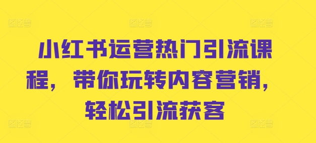 小红书运营热门引流课程，带你玩转内容营销，轻松引流获客-小伟资源网