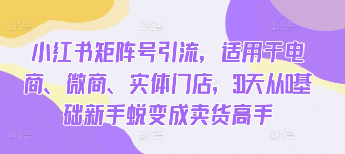 小红书矩阵号引流，适用于电商、微商、实体门店，30天从0基础新手蜕变成卖货高手-小伟资源网