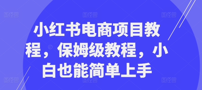 小红书电商项目教程，保姆级教程，小白也能简单上手-小伟资源网