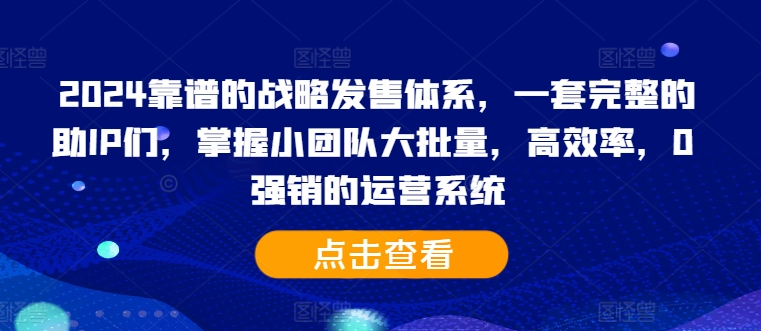 2024靠谱的战略发售体系，一套完整的助IP们，掌握小团队大批量，高效率，0 强销的运营系统-小伟资源网