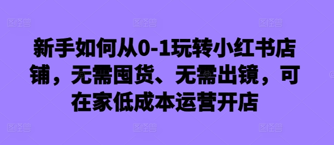 新手如何从0-1玩转小红书店铺，无需囤货、无需出镜，可在家低成本运营开店-小伟资源网