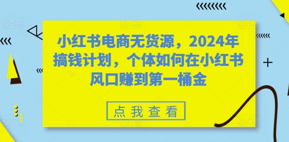 小红书电商无货源，2024年搞钱计划，个体如何在小红书风口赚到第一桶金-小伟资源网