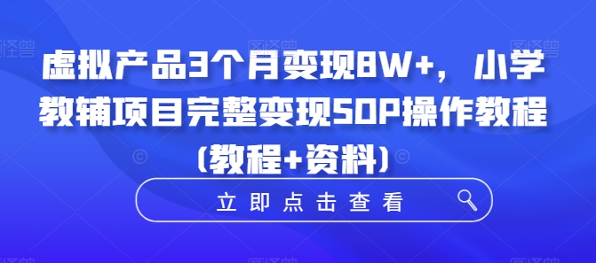 虚拟产品3个月变现8W+，小学教辅项目完整变现SOP操作教程(教程+资料)-小伟资源网