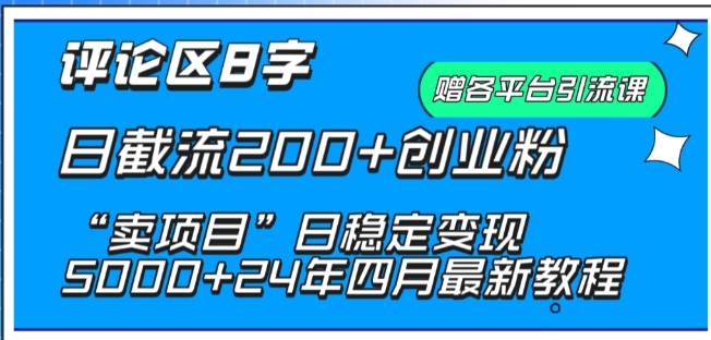 抖音评论区8字日截流200+创业粉 “卖项目”日稳定变现5000+【揭秘】-小伟资源网