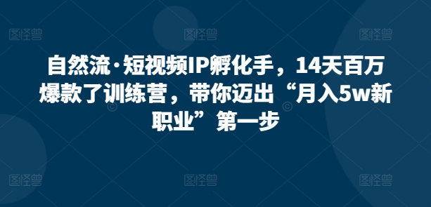 自然流·短视频IP孵化手，14天百万爆款了训练营，带你迈出“月入5w新职业”第一步-小伟资源网