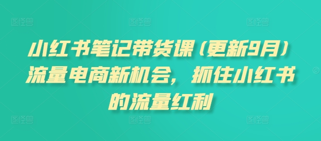 小红书笔记带货课(更新10月)流量电商新机会，抓住小红书的流量红利-小伟资源网