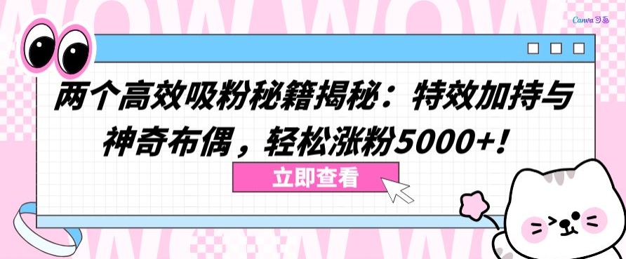 两个高效吸粉秘籍揭秘：特效加持与神奇布偶，轻松涨粉5000+【揭秘】-小伟资源网