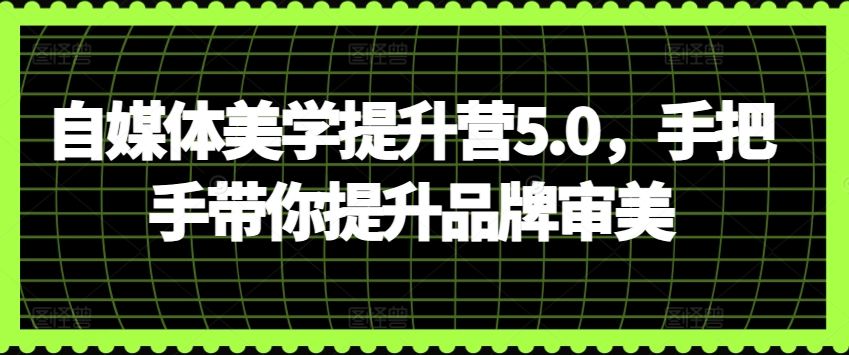 自媒体美学提升营5.0，手把手带你提升品牌审美-小伟资源网