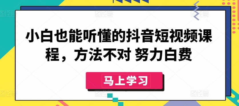 小白也能听懂的抖音短视频课程，方法不对 努力白费-小伟资源网