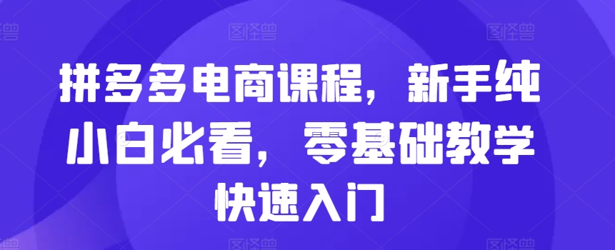 拼多多电商课程，新手纯小白必看，零基础教学快速入门-小伟资源网