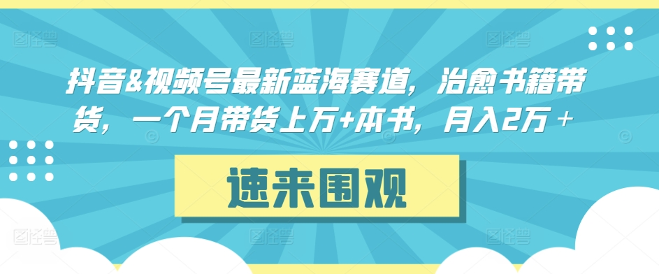 抖音&视频号最新蓝海赛道，治愈书籍带货，一个月带货上万+本书，月入2万＋【揭秘】-小伟资源网