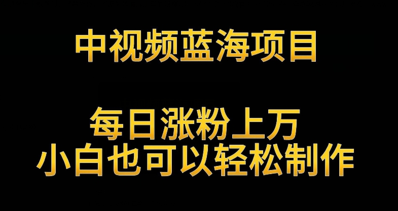 中视频蓝海项目，解读英雄人物生平，每日涨粉上万，小白也可以轻松制作，月入过万不是梦【揭秘】-小伟资源网