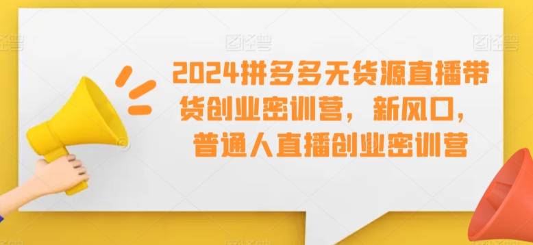 2024拼多多无货源直播带货创业密训营，新风口，普通人直播创业密训营-小伟资源网