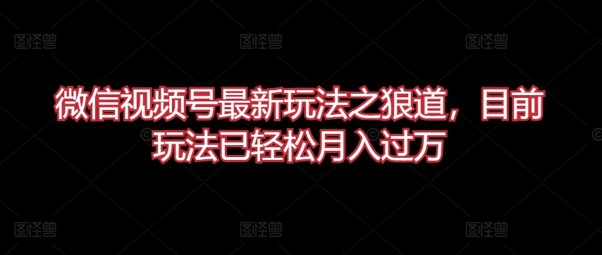 微信视频号最新玩法之狼道，目前玩法已轻松月入过万【揭秘】-小伟资源网