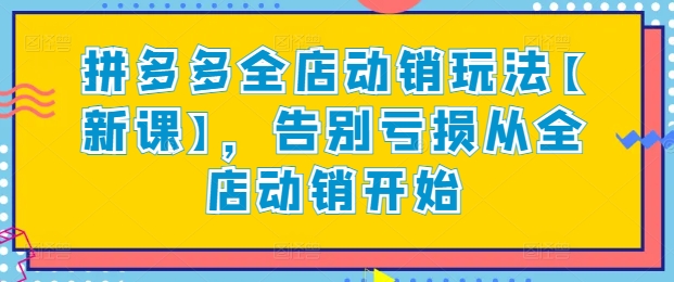 拼多多全店动销玩法【新课】，告别亏损从全店动销开始-小伟资源网