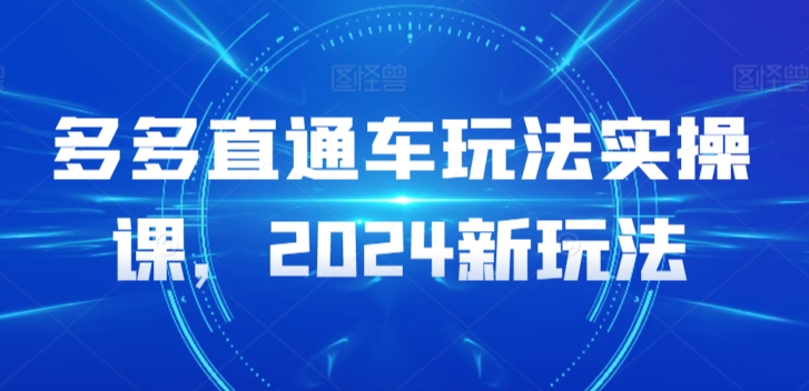 多多直通车玩法实操课，2024新玩法-小伟资源网