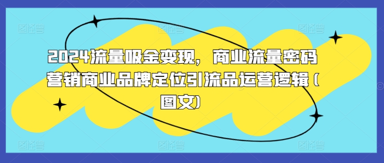 2024流量吸金变现，商业流量密码营销商业品牌定位引流品运营逻辑(图文)-小伟资源网