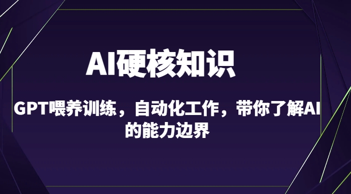 AI硬核知识-GPT喂养训练，自动化工作，带你了解AI的能力边界（10节课）-小伟资源网