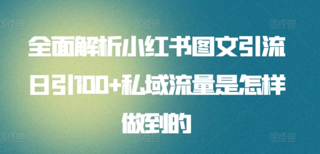 全面解析小红书图文引流日引100+私域流量是怎样做到的【揭秘】-小伟资源网