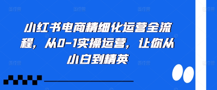 小红书电商精细化运营全流程，从0-1实操运营，让你从小白到精英-小伟资源网