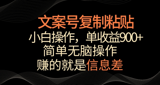 文案号掘金，简单复制粘贴，小白操作，单作品收益900+【揭秘】-小伟资源网