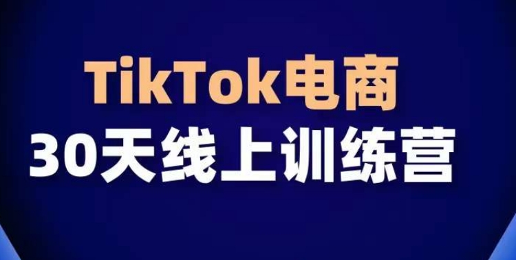 TikTok电商带货30天线上课，不可错过的全球流量洼地！-小伟资源网