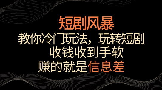 短剧风暴，教你冷门玩法，玩转短剧，收钱收到手软【揭秘】-小伟资源网