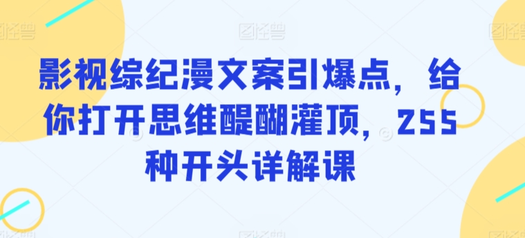 影视综纪漫文案引爆点，给你打开思维醍醐灌顶，255种开头详解课-小伟资源网