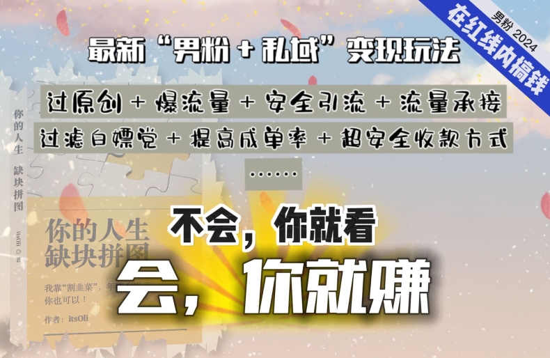 2024，“男粉+私域”还是最耐造、最赚、最轻松、最愉快的变现方式【揭秘】-小伟资源网