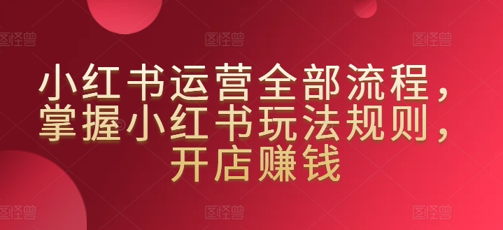 小红书运营全部流程，掌握小红书玩法规则，开店赚钱-小伟资源网