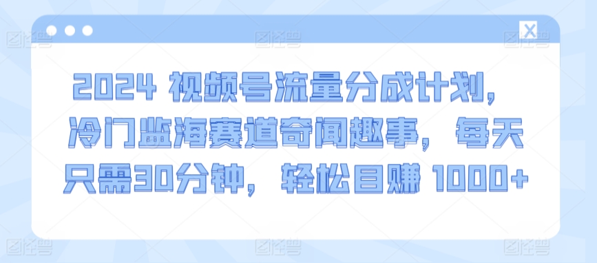 2024视频号流量分成计划，冷门监海赛道奇闻趣事，每天只需30分钟，轻松目赚 1000+【揭秘】-小伟资源网