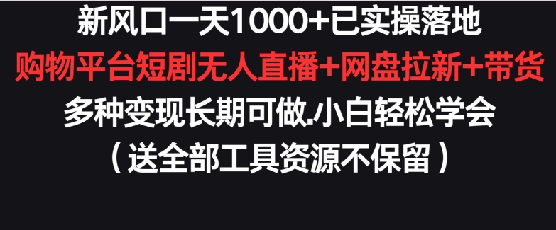 新风口一天1000+已实操落地购物平台短剧无人直播+网盘拉新+带货多种变现长期可做【揭秘】-小伟资源网