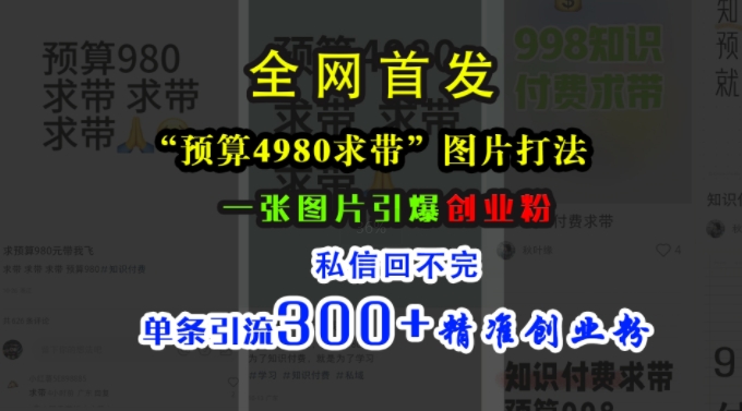 小红书“预算4980带我飞”图片打法，一张图片引爆创业粉，私信回不完，单条引流300+精准创业粉-小伟资源网