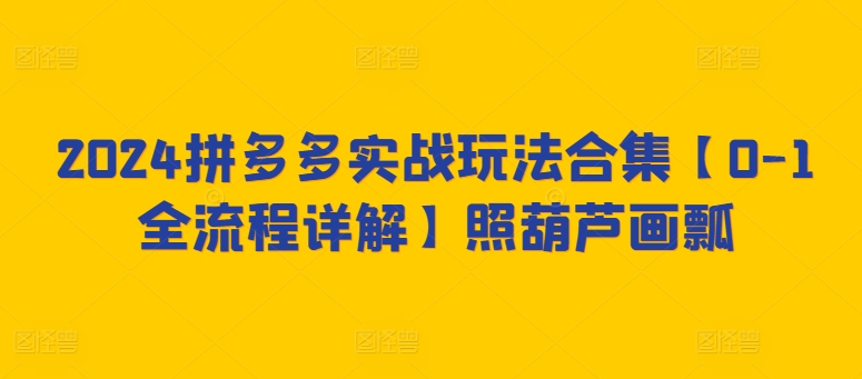 2024拼多多实战玩法合集【0-1全流程详解】照葫芦画瓢-小伟资源网