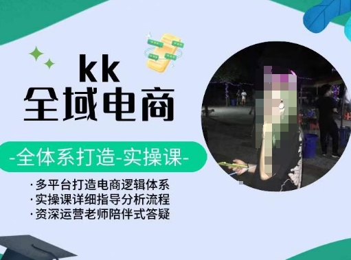 KK全域电商，全体系打造实操课，多平台打造电商逻辑体系-小伟资源网