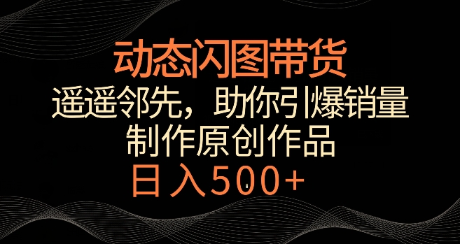 动态闪图带货，遥遥领先，冷门玩法，助你轻松引爆销量，日赚500+【揭秘】-小伟资源网