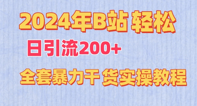 2024年B站轻松日引流200+的全套暴力干货实操教程【揭秘】-小伟资源网