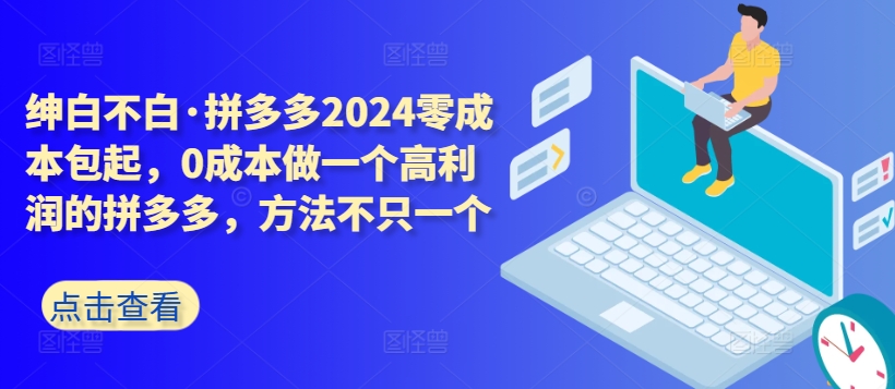 拼多多2024零成本包起，0成本做一个高利润的拼多多，方法不只一个-小伟资源网