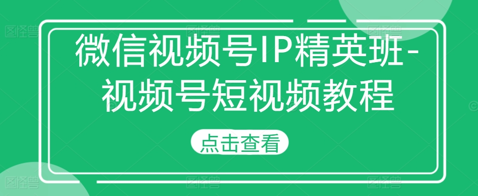 微信视频号IP精英班-视频号短视频教程-小伟资源网