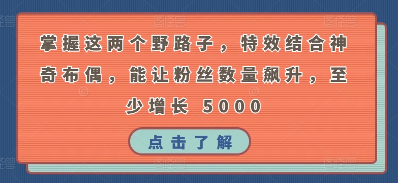 掌握这两个野路子，特效结合神奇布偶，能让粉丝数量飙升，至少增长 5000【揭秘】-小伟资源网