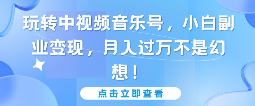 玩转中视频音乐号，小白副业变现，月入过万不是幻想【揭秘】-小伟资源网