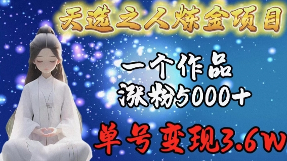 天选之人炼金项目，一个作品涨粉5000+，单号变现3.6w【揭秘】-小伟资源网