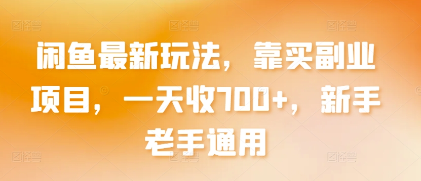 闲鱼最新玩法，靠买副业项目，一天收700+，新手老手通用【揭秘】-小伟资源网